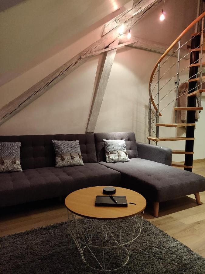 Le Business, Duplex Moderne Special Pro De Passage Apartman Sarreguemines Kültér fotó