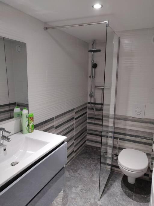 Le Business, Duplex Moderne Special Pro De Passage Apartman Sarreguemines Kültér fotó