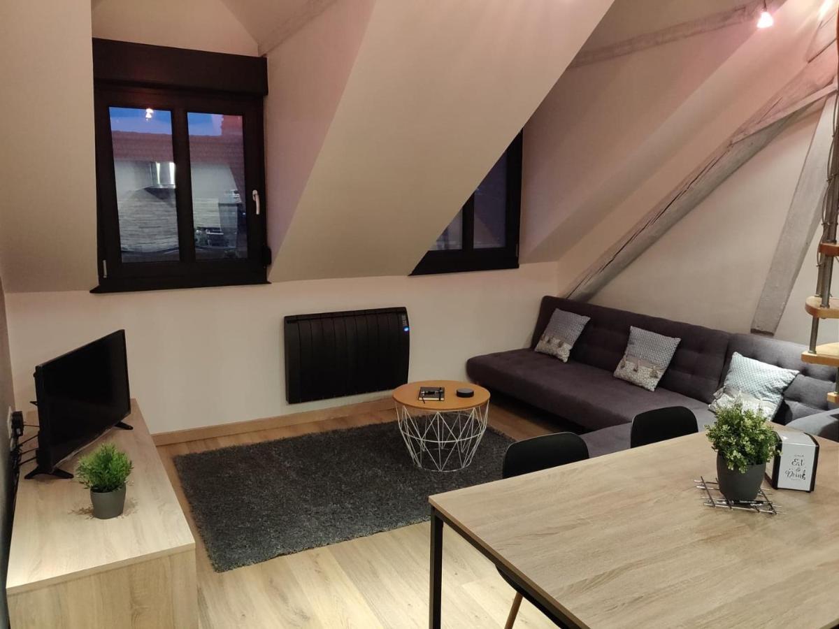 Le Business, Duplex Moderne Special Pro De Passage Apartman Sarreguemines Kültér fotó