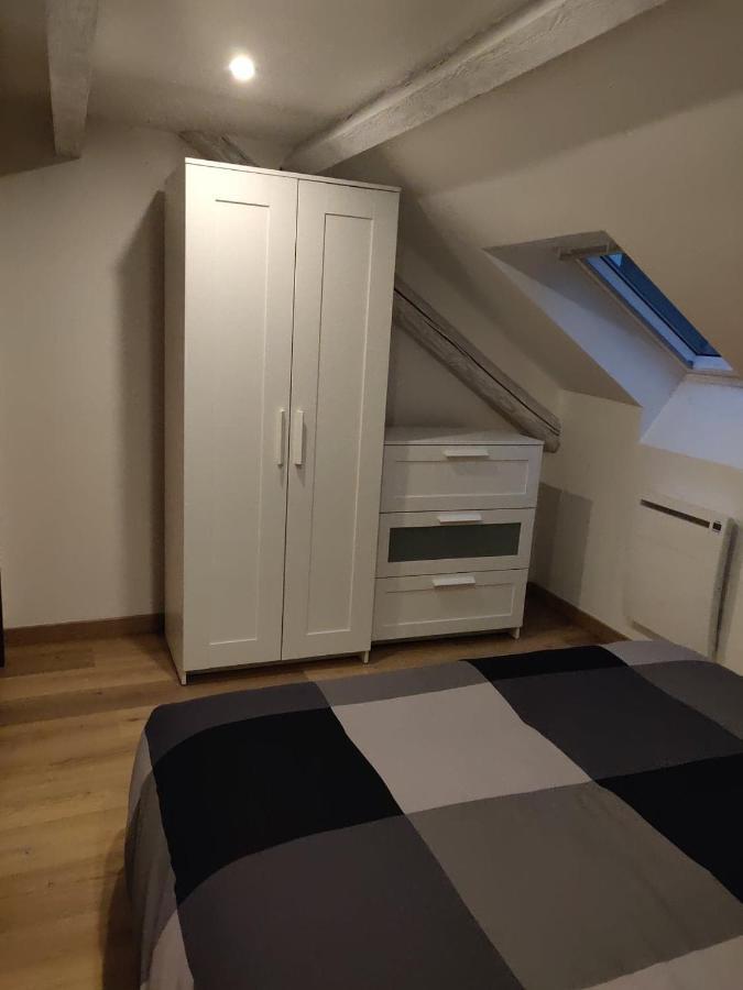 Le Business, Duplex Moderne Special Pro De Passage Apartman Sarreguemines Kültér fotó